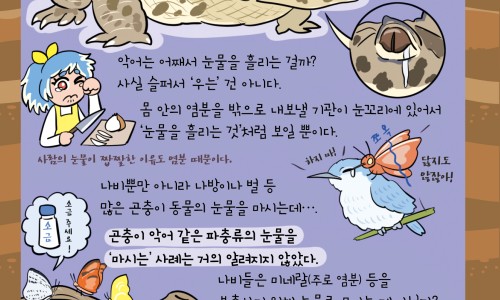 4个月孕肚图片-四个月孕妇肚子图片网 - 网站提供孕四个月的肚子大小图小常识、四个月的孕肚图片