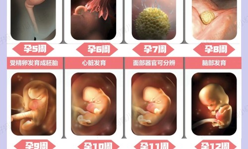 四个多月孕妇肚子多大图片-四个月孕妇肚子图片网 - 网站提供孕四个月的肚子大小图小常识、四个月的孕肚图片